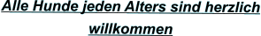 Alle Hunde jeden Alters sind herzlich willkommen