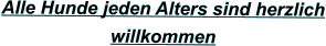 Alle Hunde jeden Alters sind herzlich willkommen