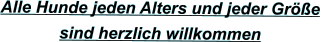 Alle Hunde jeden Alters und jeder Gr��e  sind herzlich willkommen